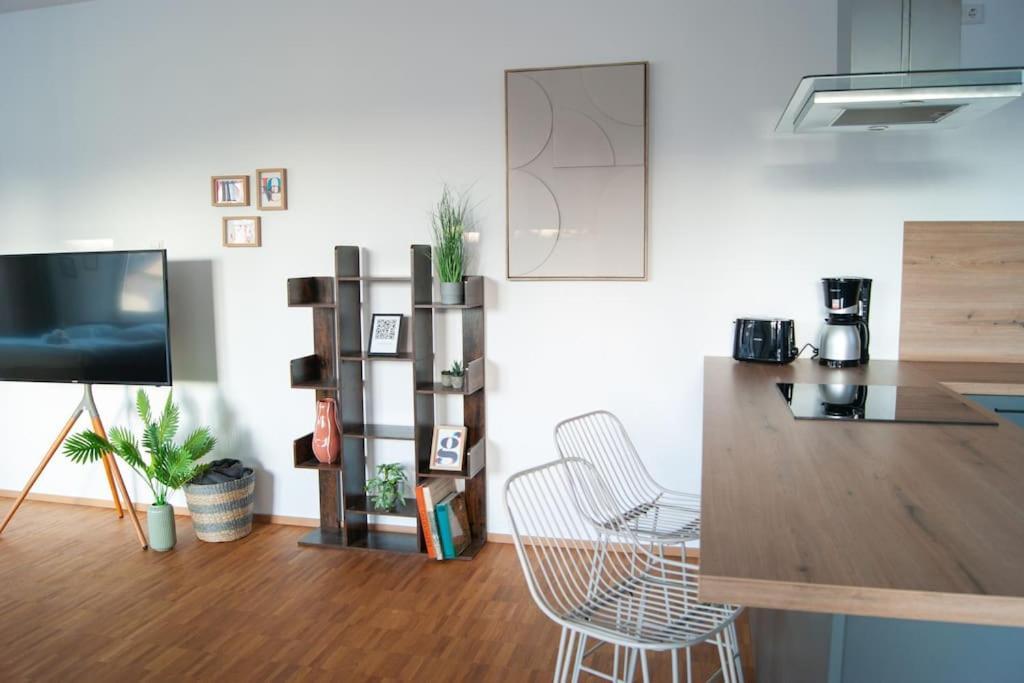 Studio Apartment Marbach Marbach am Neckar Kültér fotó